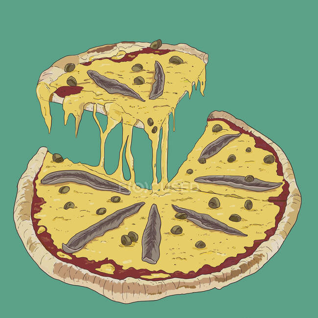 Пицца с анчоусами, нарезанные (иллюстрация)) — стоковое фото