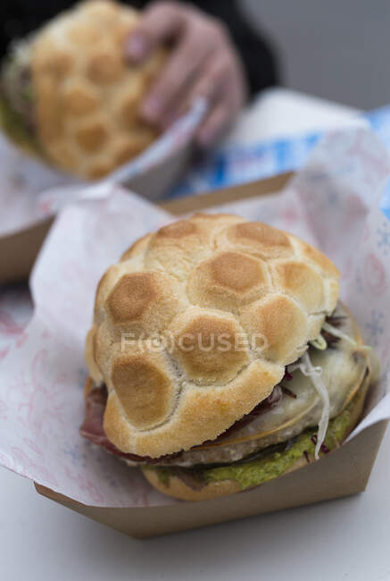 Fisch-Burger in Pappschalen zum Mitnehmen — Stockfoto