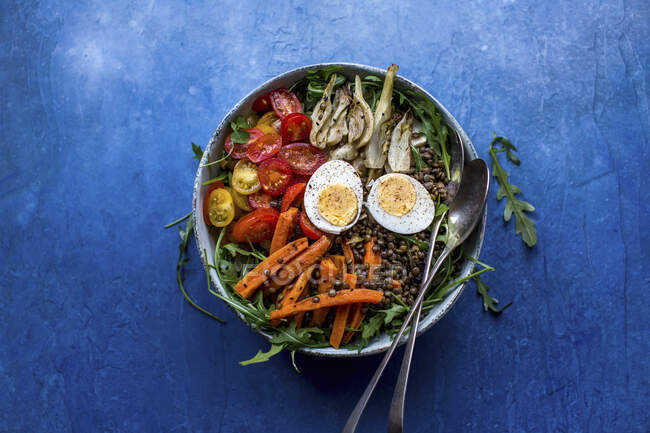 Салат из чечевицы с морковью, фенхелем, помидорами и яйцами — стоковое фото