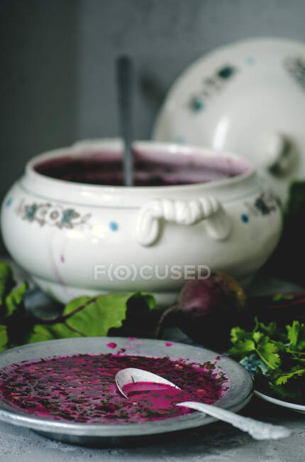 Chlodnik, cold beetroot soup, Poland — Stock Photo