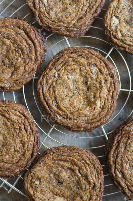 Стигле печиво з шоколадними чіпсами на охолоджувальній стійці — стокове фото
