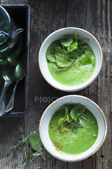 Zuppa di spinaci con crescione — Foto stock