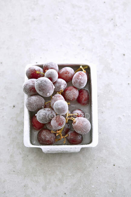 Frozen grapes in metal dish on concrete surface — Stock Photo