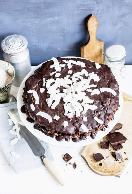 Primer plano de delicioso pastel de chocolate y coco - foto de stock