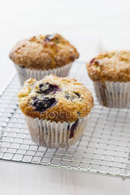 Muffin ai mirtilli, primo piano — Foto stock