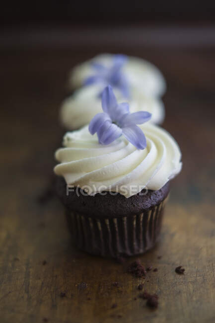 Mini chocolate cupcakes with cream topping and purple flowers — Stock Photo