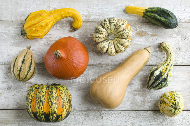 Various gourds and pumpkins on a rustic wooden background — Stock Photo