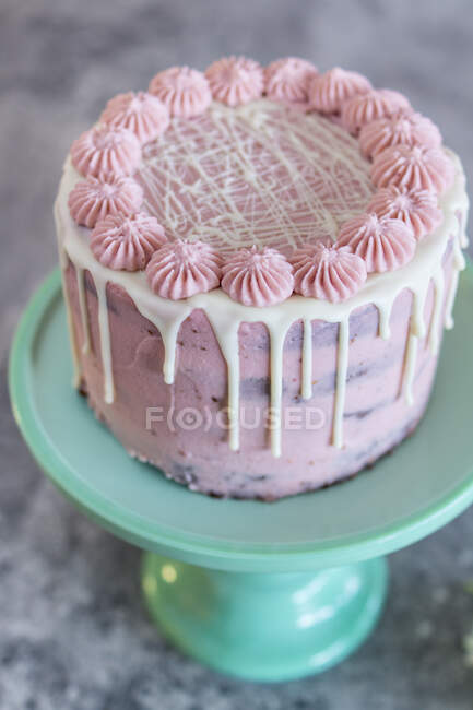 Close-up shot of delicious Chocolate cake with pink frosting — Stock Photo