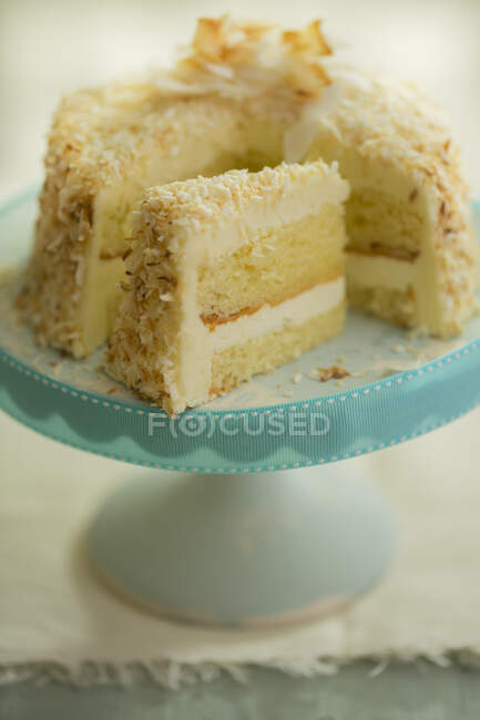 Coconut Cake, closeup shot — Stock Photo