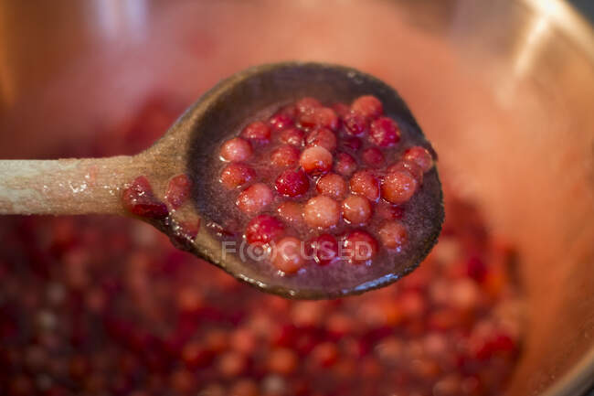 Lingon berry jam being made, lingon berries being heated in a pot — Stock Photo