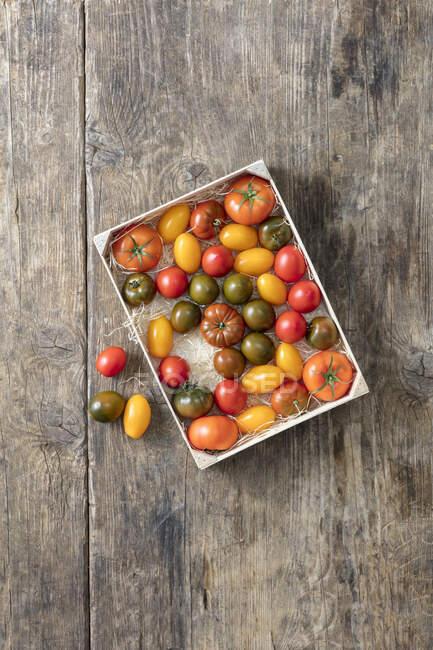 Bunte Tomaten in einer Kiste — Stockfoto