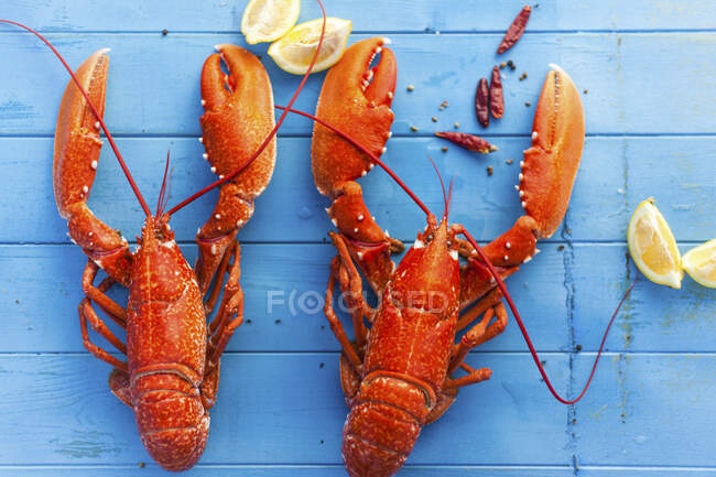 Two cooked lobsters with lemon wedges — Stock Photo