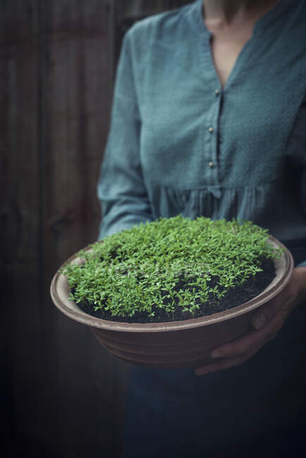 Una donna che tiene una ciotola di crescione fresco — Foto stock