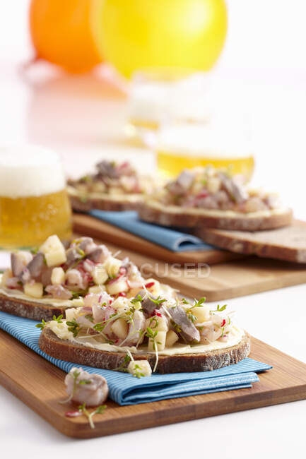 Slices of baguette topped with butter, soused herring, radishes and cress — Stock Photo