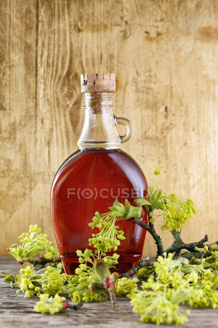 Maple syrup and maple flowers — Stock Photo