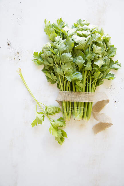 Salsa verde fresca sobre fundo branco — Fotografia de Stock