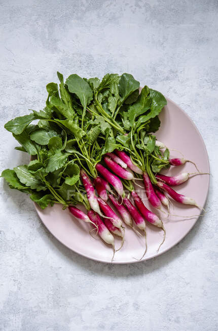 Fresh radishes on a blue wooden board — Stock Photo