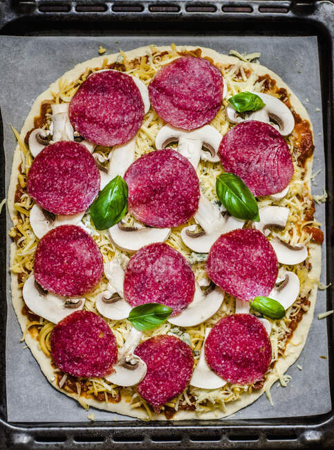 An unbaked salami and mushroom pizza — Stock Photo