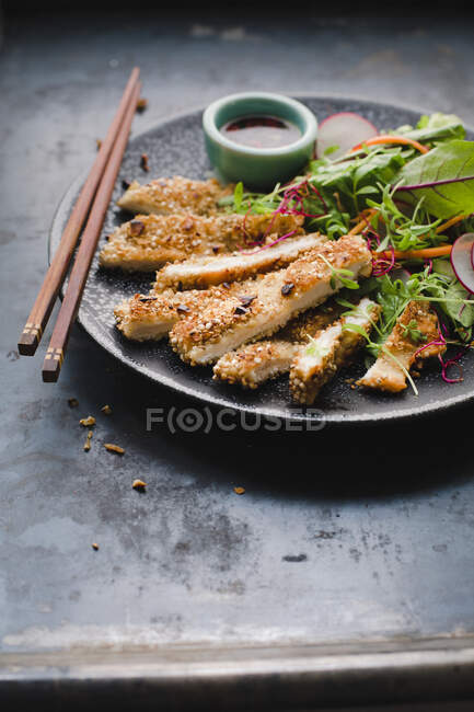 Chicken Katsu with salad and soy sauce (Japan) — Stock Photo