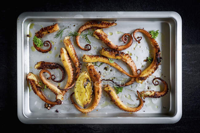 Grilled octopus with spices — Stock Photo