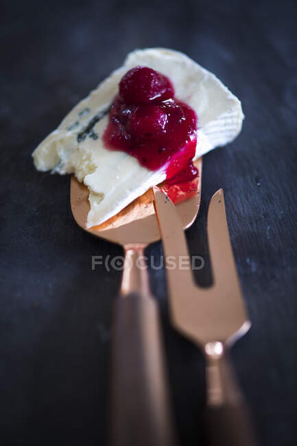 Blue cheese with lingon berry jam and a cheese knife — Stock Photo