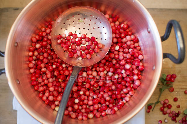 Lingon berry jam being made, raw lingon berries in a pot with draining spoon — Stock Photo