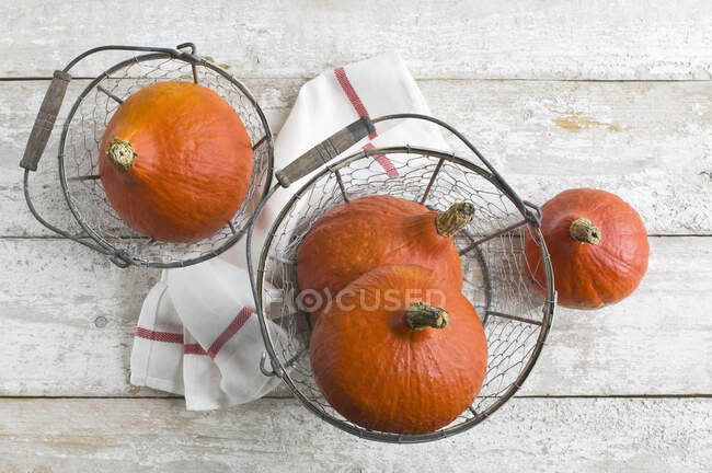Hokkaido gourds in a wire basket — Stock Photo