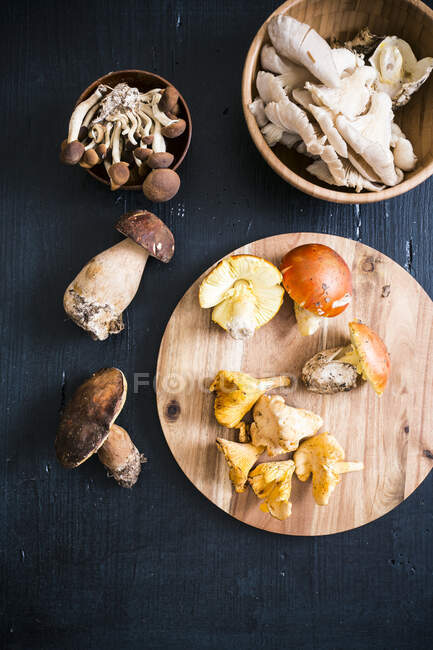 Um arranjo de cogumelos com chanterelles e cogumelos porcini — Fotografia de Stock