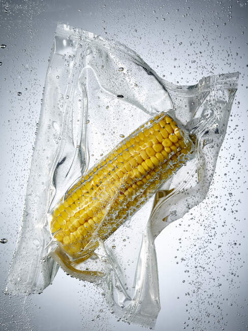 A corn cob in a sous vide bag — Stock Photo