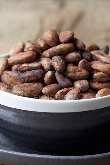 Какао-бобы в миске (крупный план) — стоковое фото