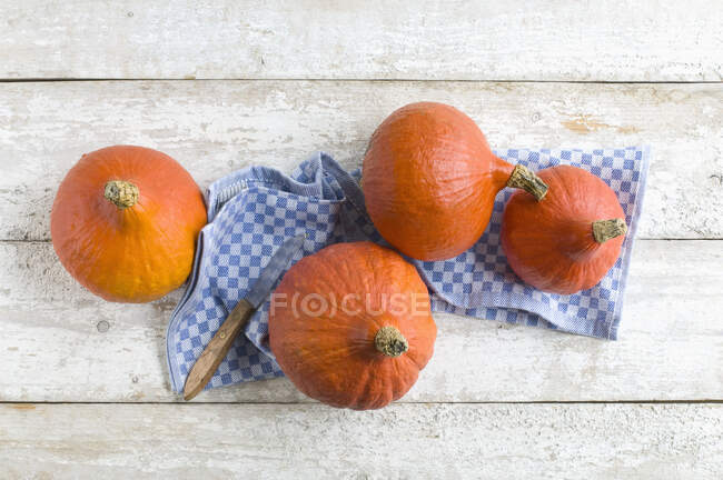 Four hokkaido pumpkins on a blue kitchen towel — Stock Photo