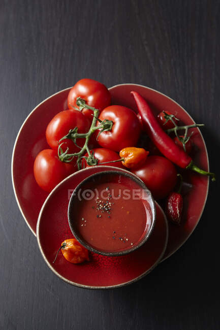 Tomato soup with fresh tomatoes, chilies and peppers — Stock Photo