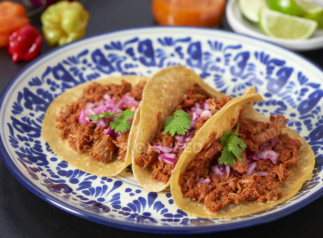 Mexican pulled pork in flat breads on plate — Stock Photo