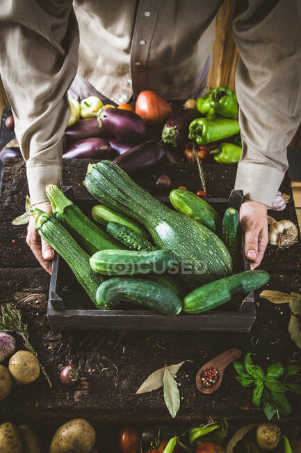 Farmers hands with freshly harvested organic zucchini — Stock Photo