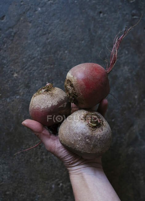 A hand holding three fresh beetroots (top view) — Stock Photo