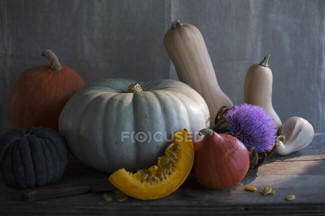 Assorted pumpkins, squashes and gourds — Stock Photo