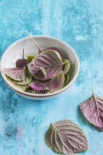 Frische grüne und violette Salatblätter auf blauem Hintergrund. — Stockfoto