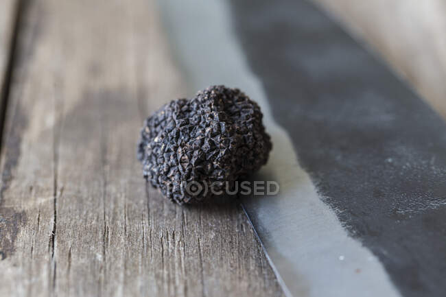 Une truffe noire sur un bord de couteau forgé — Photo de stock