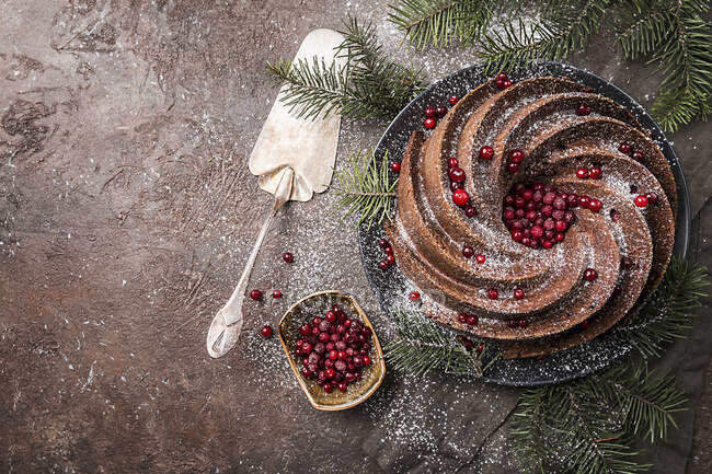 Gingerbread Bundt Cake for Christmas with lingonberry and christmas decorations — Stock Photo