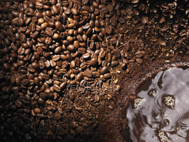 Coffee beans transition to grounds and brewed coffee, overhead landscape — Stock Photo