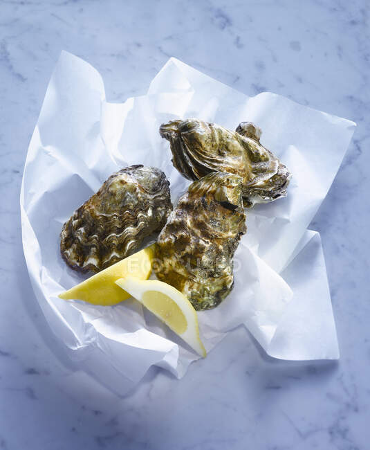 Fresh oysters with lemon wedges on paper — Stock Photo