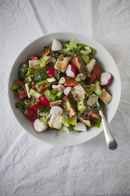Fattoush (Salat aus Gurken, Tomaten, Frühlingszwiebeln mit einem Sumach, flacher Petersilie und Zitronensaft-Dressing) — Stockfoto