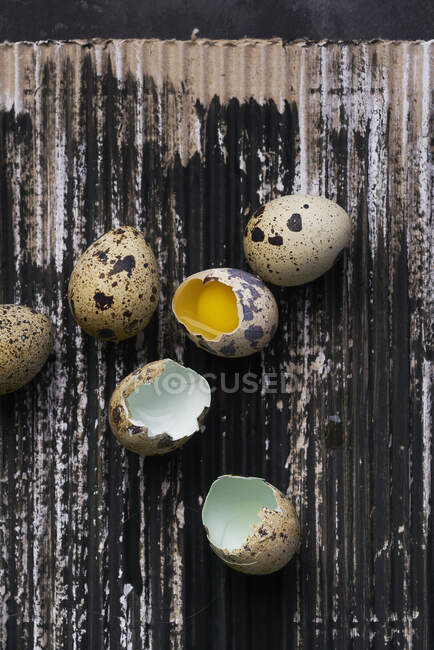 Still life of quail eggs on painted cardboard surface — Stock Photo