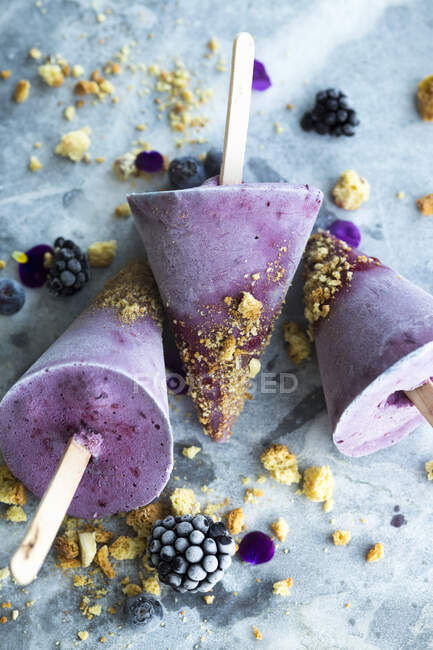 Homemade blueberry and blackberry ice cream on a stick — Stock Photo