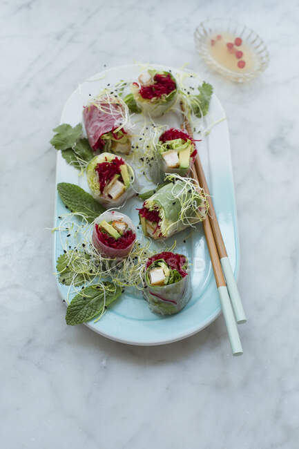 Rice paper rolls filled with chicken escalope, beetroot rice noodles, lettuce, avocado, coriander and mint — Stock Photo