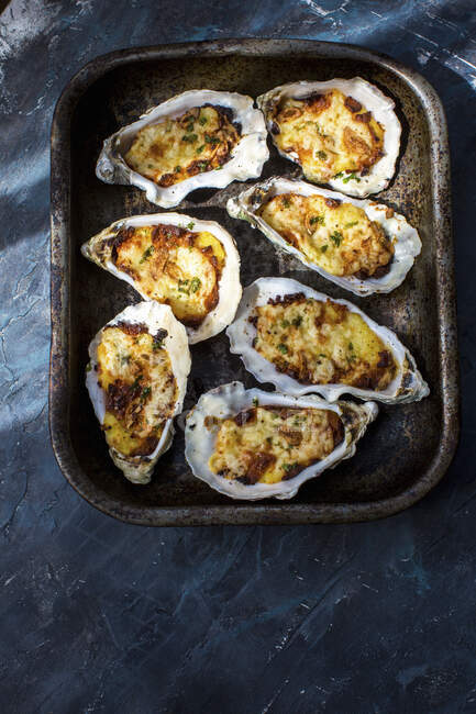 Grilled oysterstopped with bechamel sauces grated cheese, sliced garlic and parsley — Stock Photo