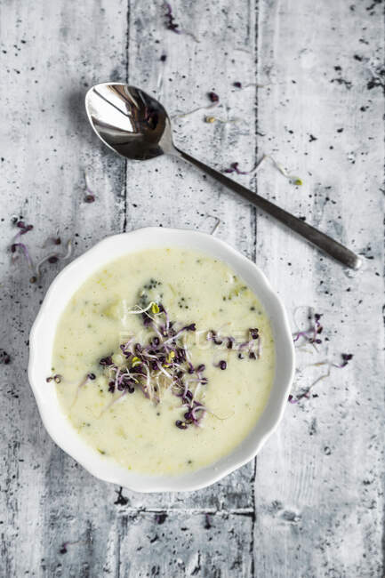 Potato, broccoli and cheese soup with red sprouts — Stock Photo