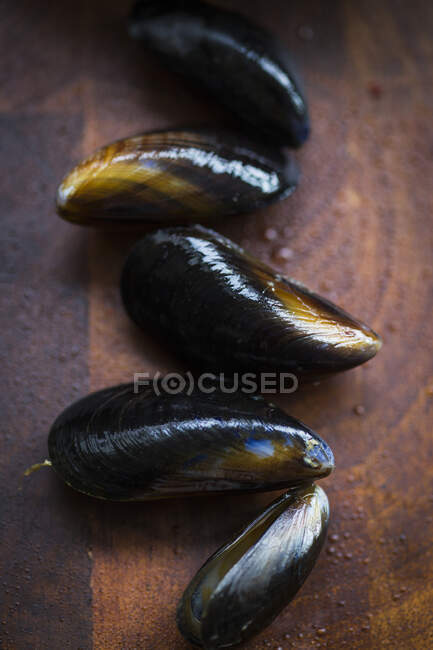 Several mussels on a wooden background — Stock Photo