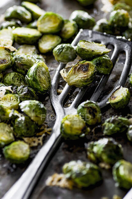 Roasted brussel sprouts with parmesan — Stock Photo