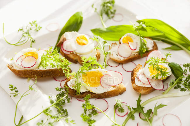 Toasted baguette slices topped with eggs and radishes — Stock Photo